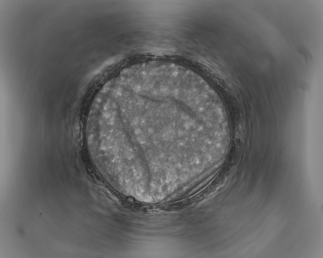 X0000111351398200908071123