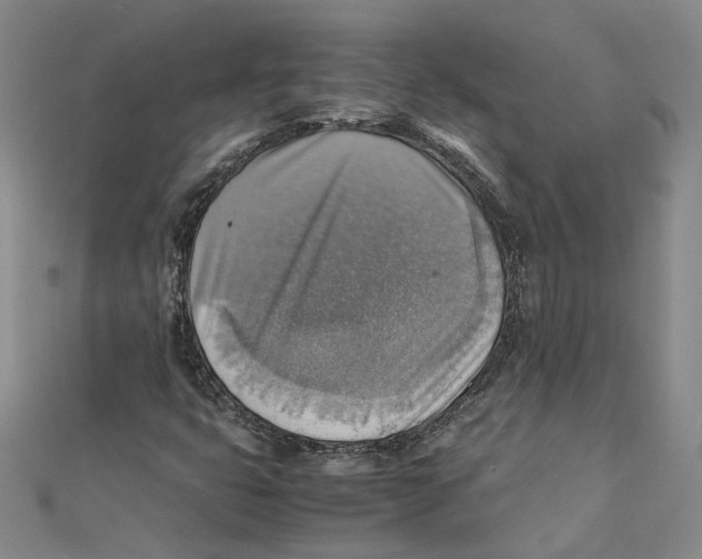 X0000111351399200908071123