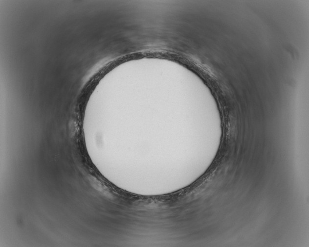 X0000111351400200908071123