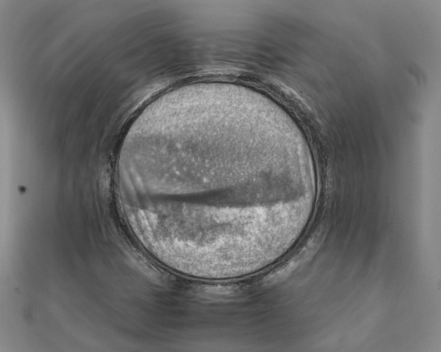 X0000111351401200908071123