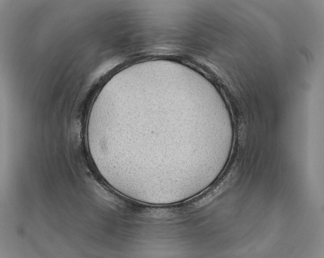 X0000111351402200908071123