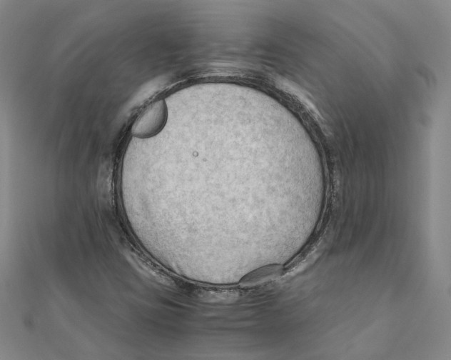 X0000111351403200908071123