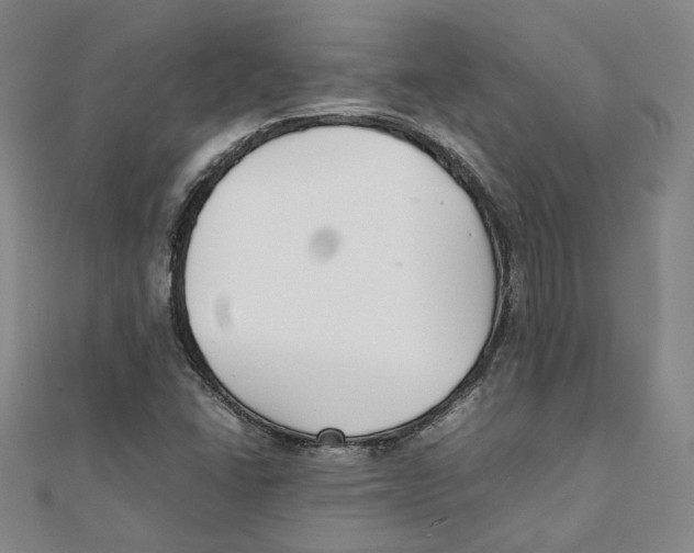 X0000111351406200908071123