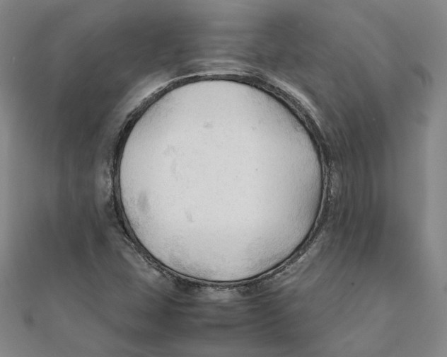 X0000111351407200908071123