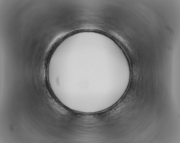 X0000111351408200908071123