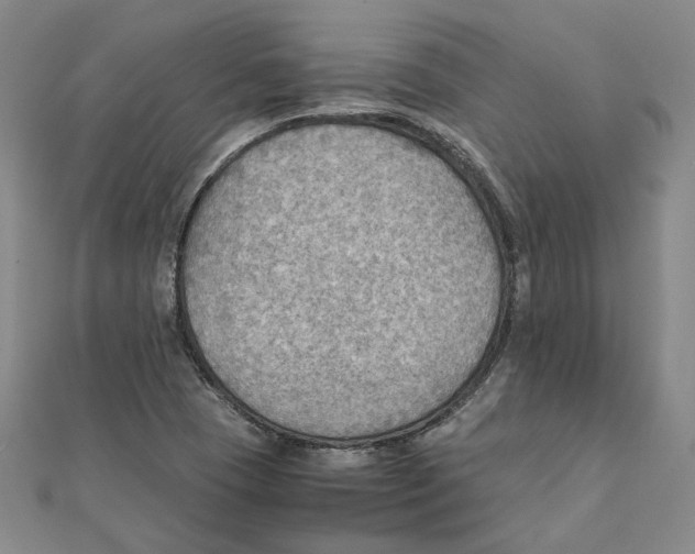 X0000111351409200908071123