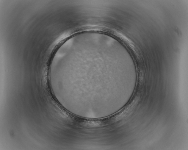 X0000111351411200908071123