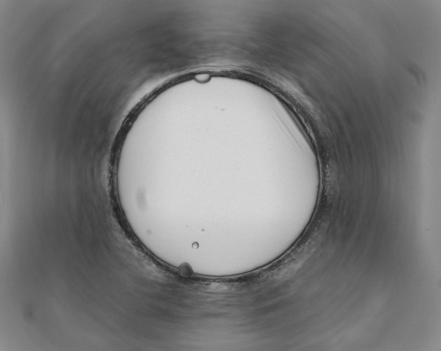 X0000111351412200908071123