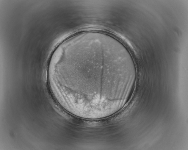 X0000111351413200908071123