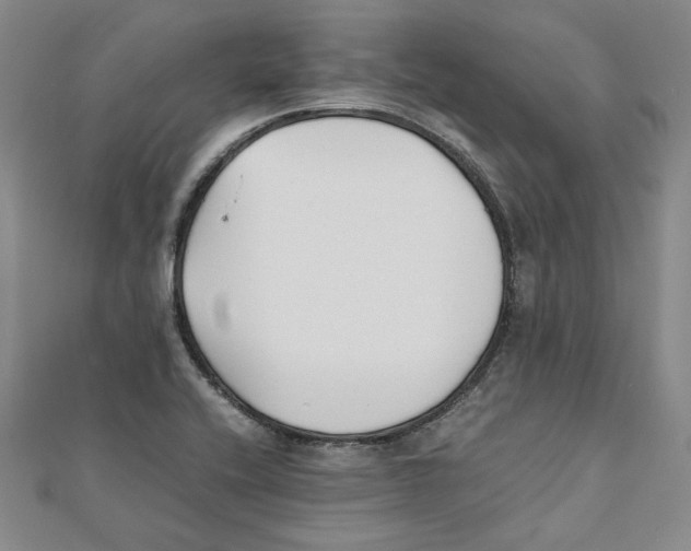 X0000111351416200908071123