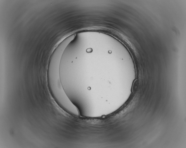 X0000111351417200908071123