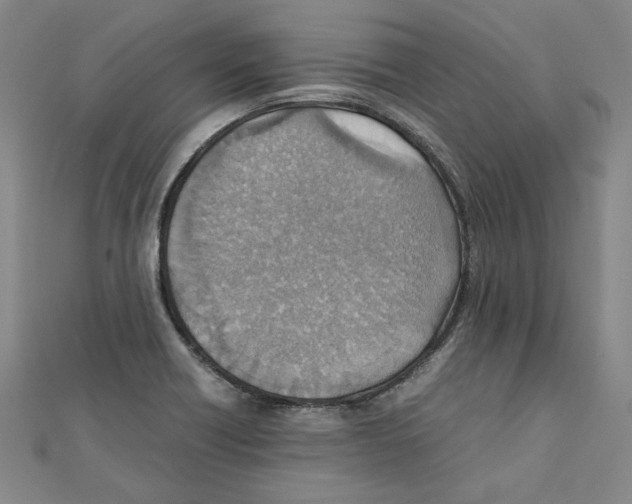 X0000111351418200908071123