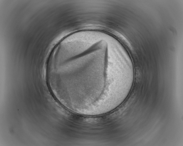 X0000111351419200908071123