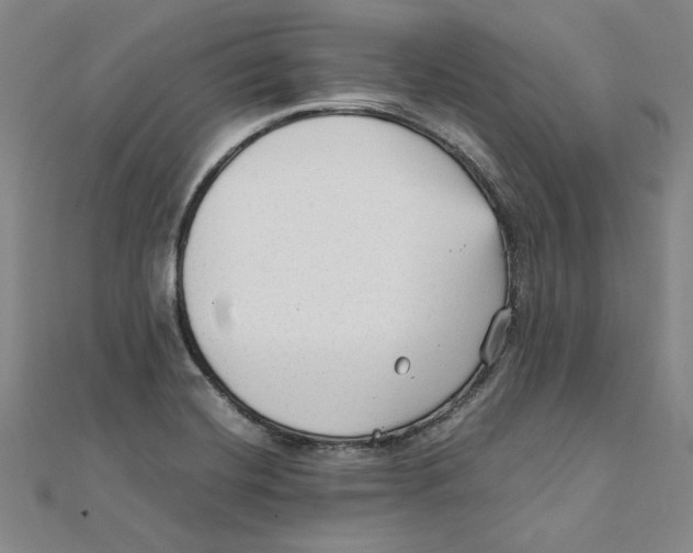 X0000111351420200908071123