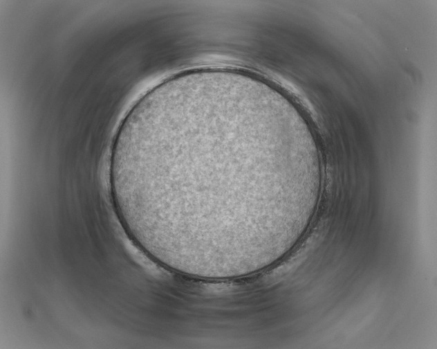 X0000111351421200908071123