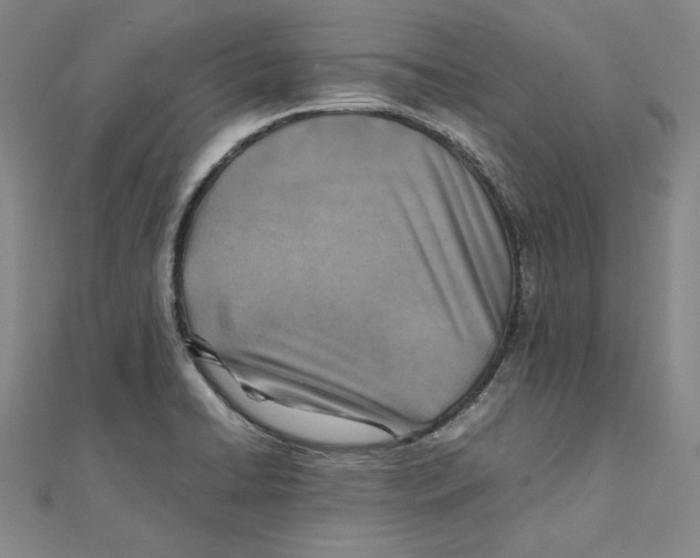 X0000111351422200908071123