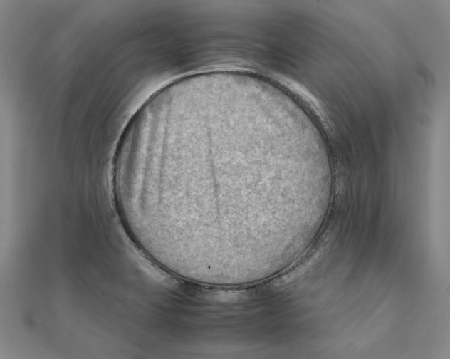 X0000111351423200908071124