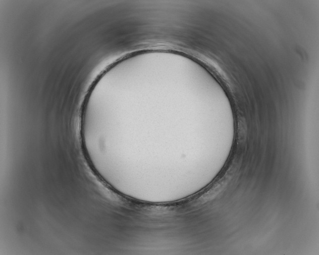 X0000111351424200908071124