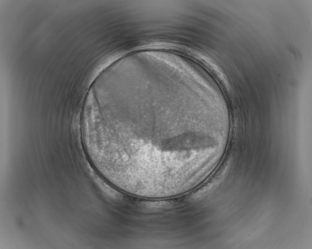 X0000111351425200908071124