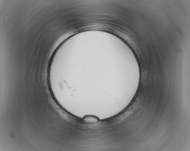 X0000111351426200908071124