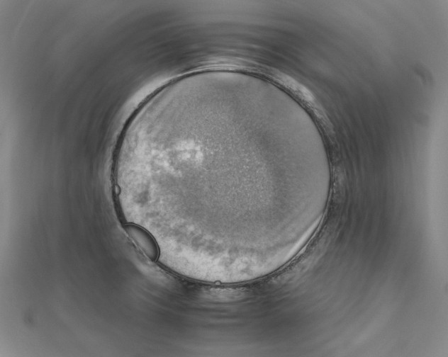 X0000111351427200908071124