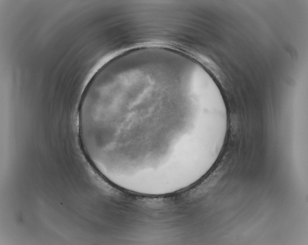 X0000111351428200908071124