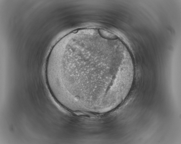 X0000111351429200908071124