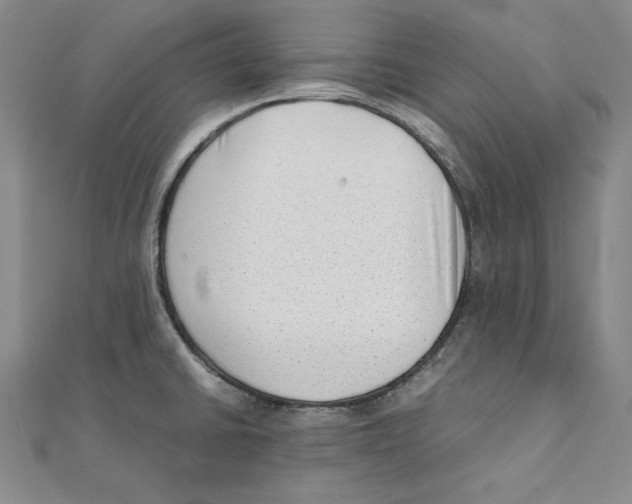 X0000111351430200908071124