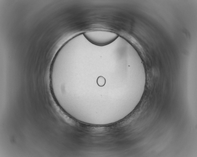 X0000111351431200908071124