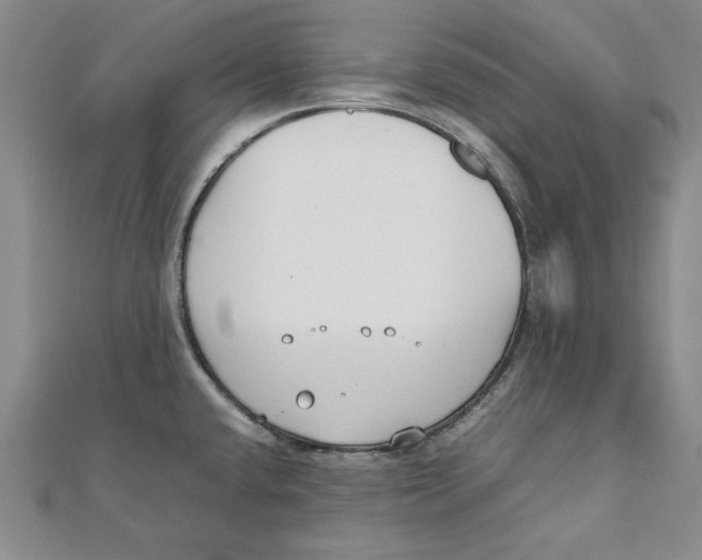 X0000111351432200908071124