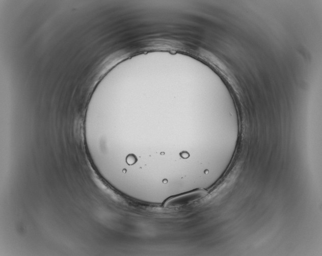 X0000111351433200908071124