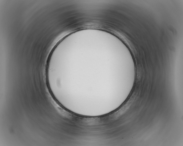 X0000111351434200908071124