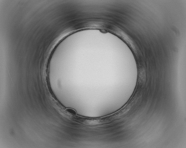 X0000111351435200908071124