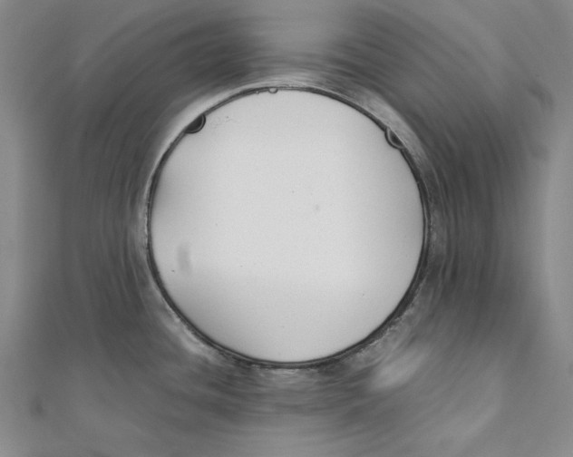 X0000111351436200908071124