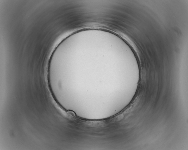 X0000111351437200908071124