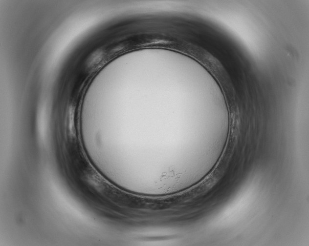 X0000111351439200908071124