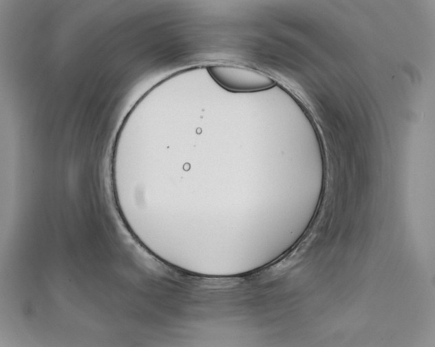 X0000111351440200908071124