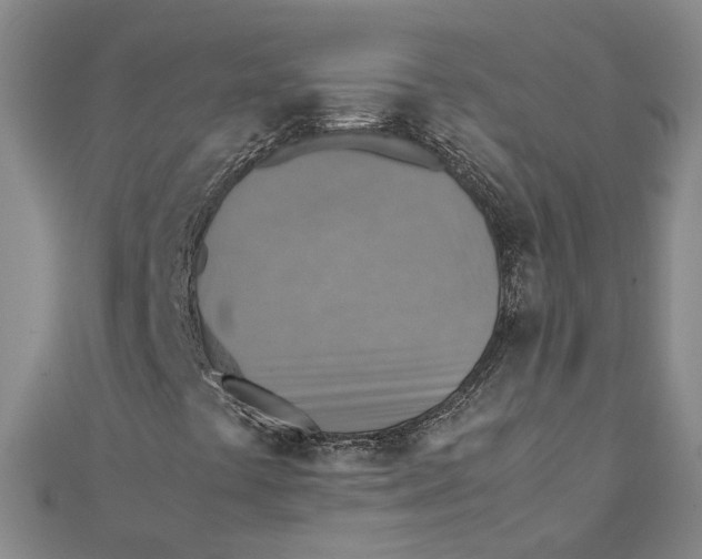 X0000111351441200908071123