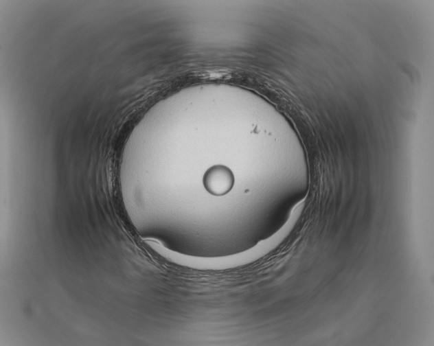 X0000111351442200908071123