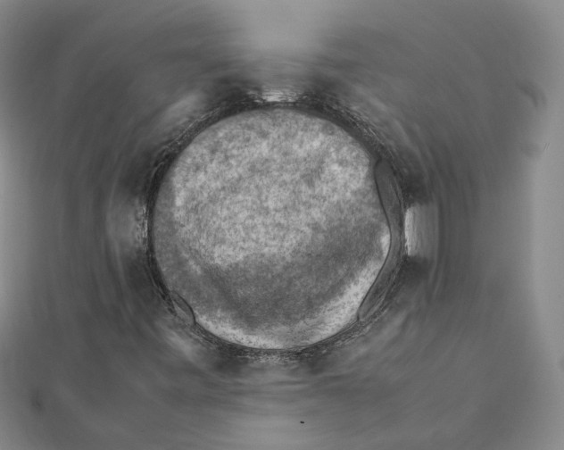 X0000111351443200908071123