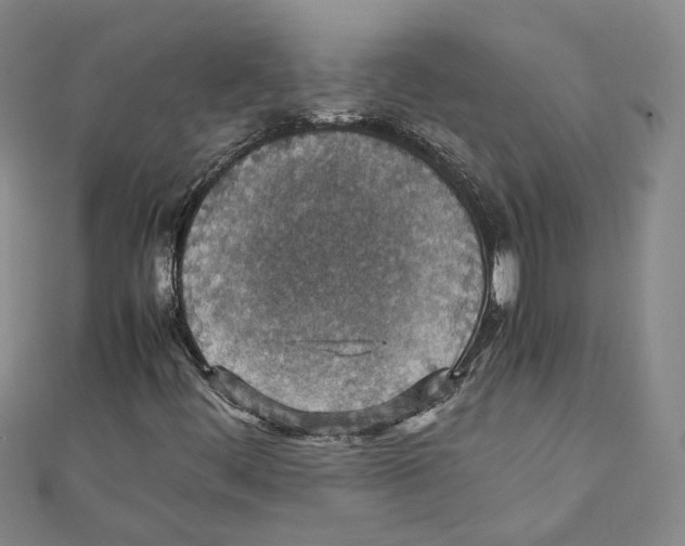 X0000111351444200908071123