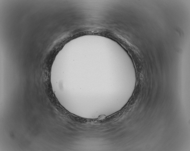 X0000111351447200908071123