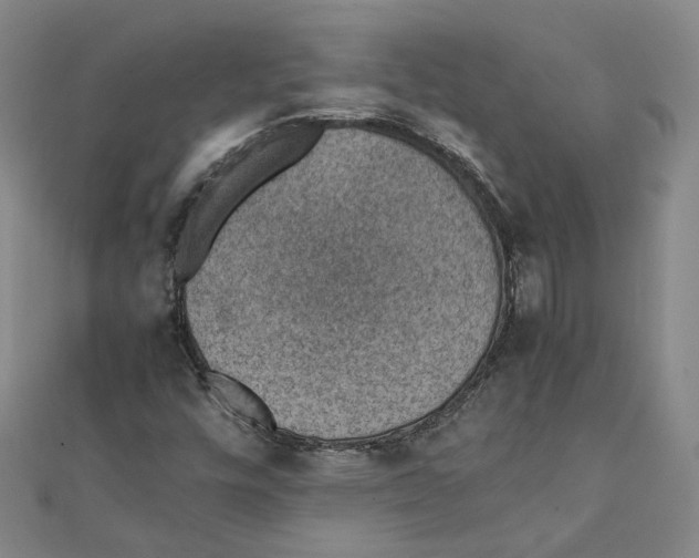 X0000111351448200908071123