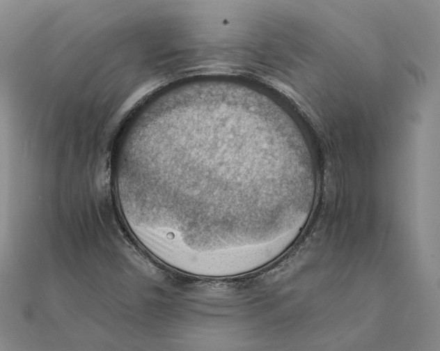 X0000111351450200908071123