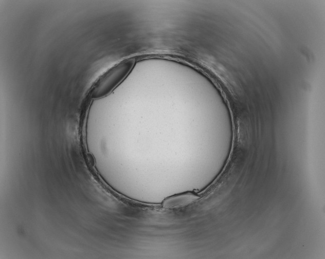 X0000111351452200908071123