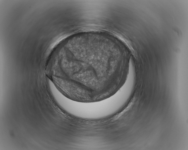 X0000111351453200908071123