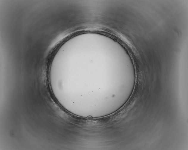 X0000111351456200908071123