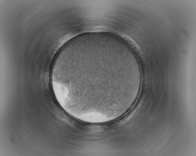 X0000111351457200908071123