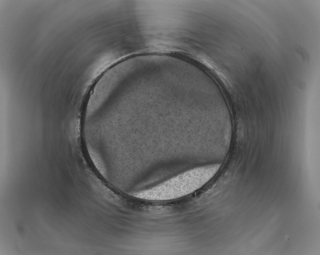 X0000111351459200908071123