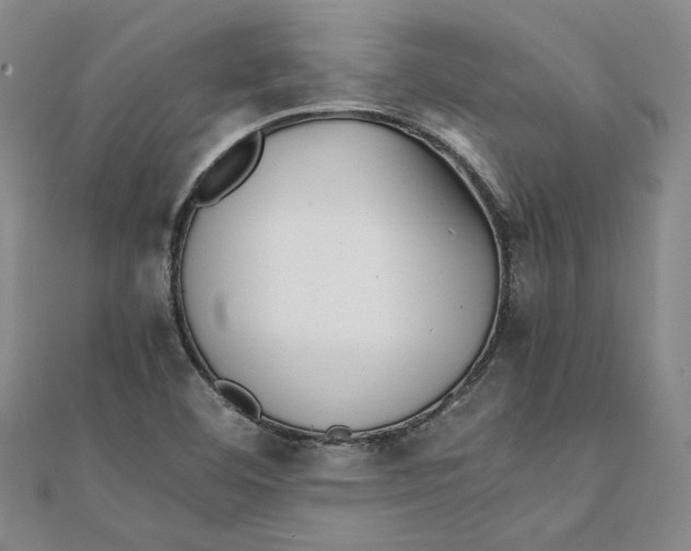 X0000111351460200908071123